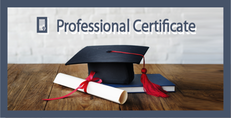 Picture for category Professional Certificates